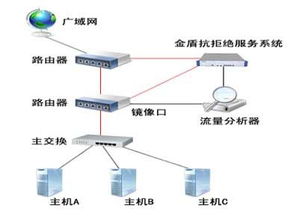 中新軟件抗拒絕服務解決方案 程麗敏引領網絡與信息安全軟件開發